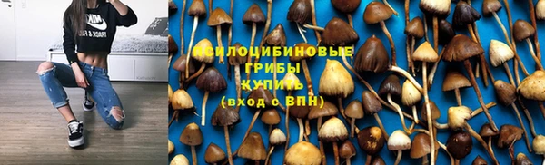 кокс Алексеевка