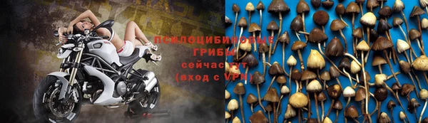 ALPHA-PVP Алзамай